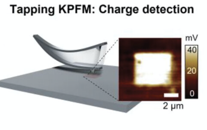 enhanced triboelectric charge stability by air-stable radicals