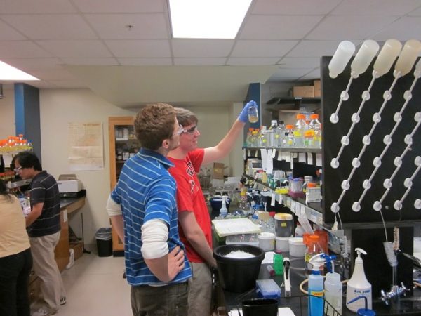 Hyperthermophile Lab 5