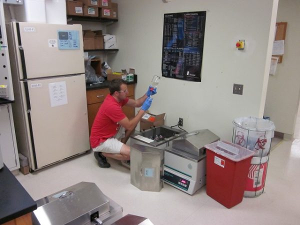 Hyperthermophile Lab 6