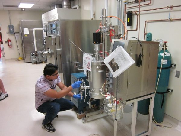 Hyperthermophile Lab 7
