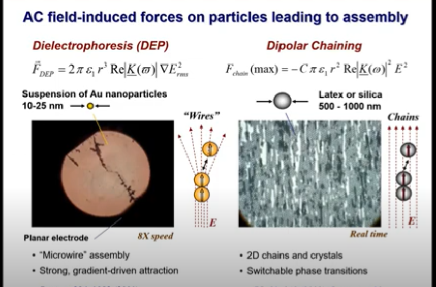 Dr Velev S Lesson On Active Colloids Velev Research Group