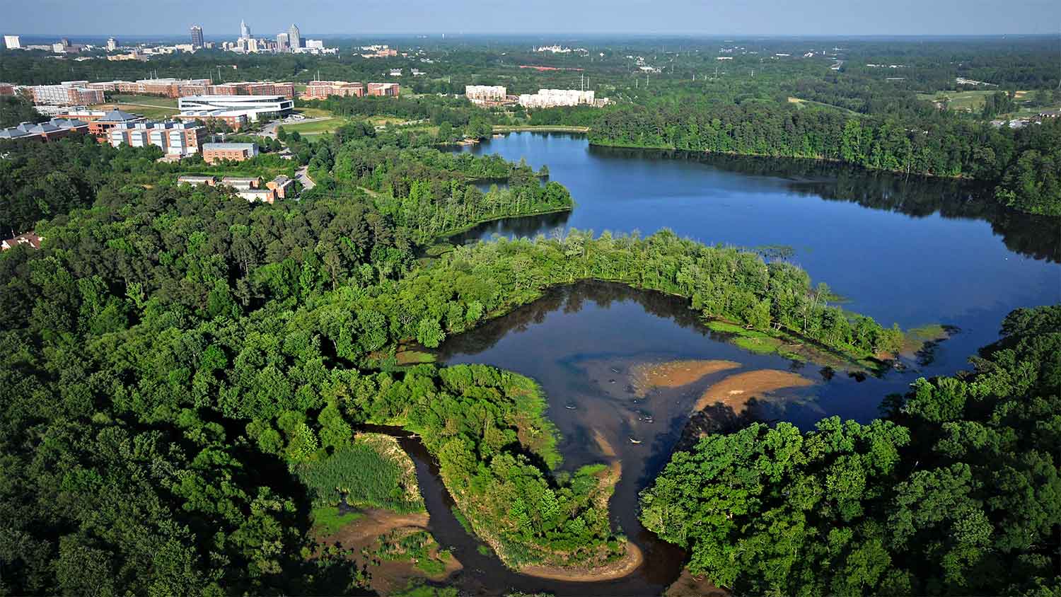 Lake Raleigh from above