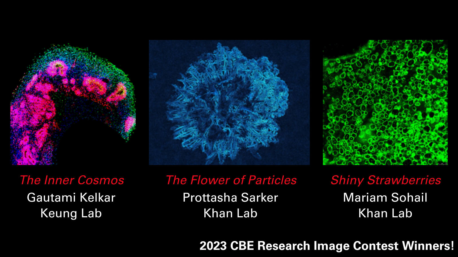 collage of student research