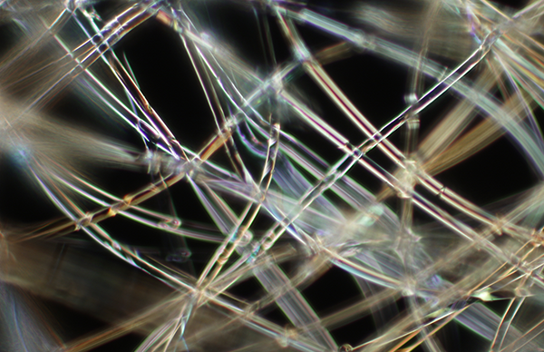 glass fibers