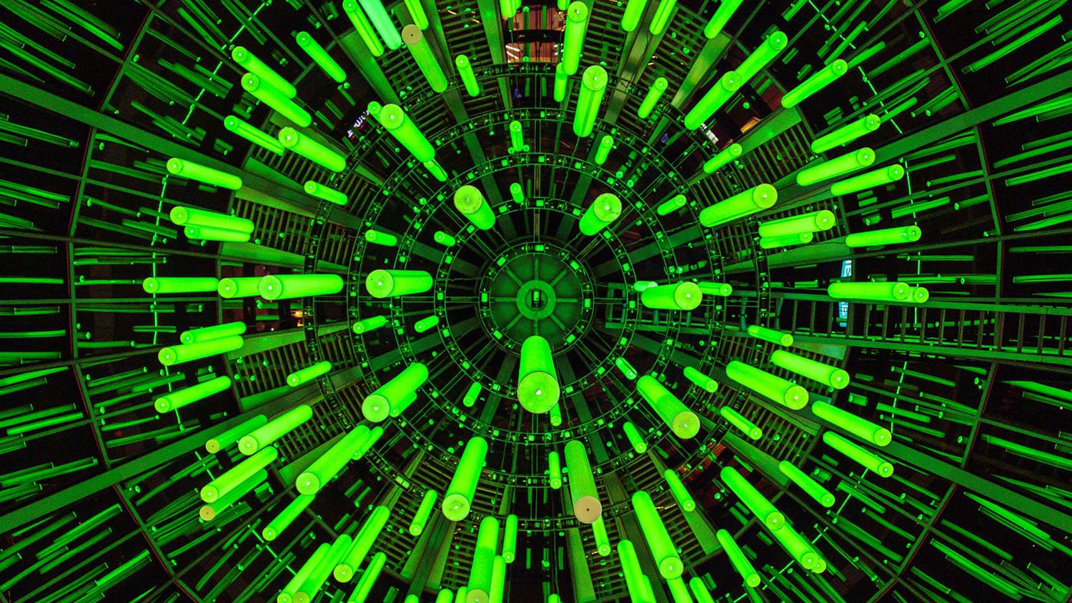 an array of green LED lights