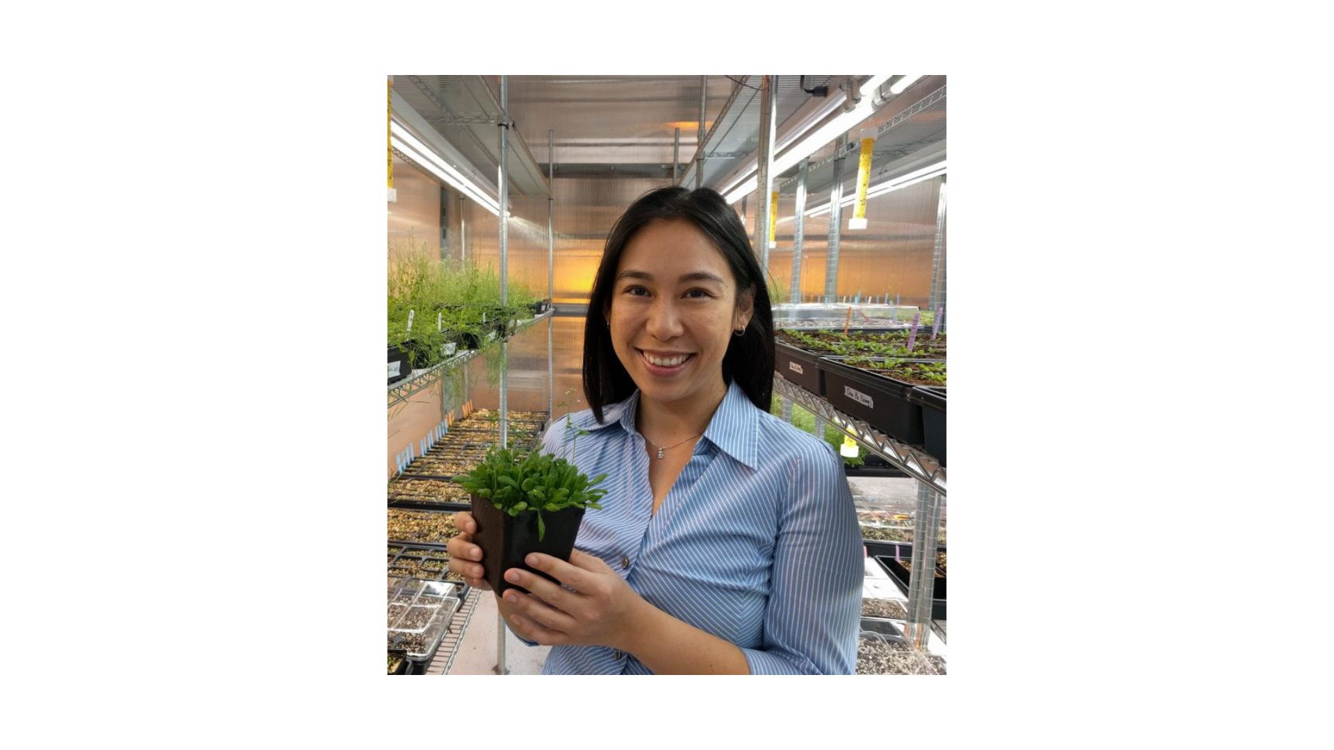 woman with dark hair wearing a blue shirt holding a potted plant smiling inside of a greenhouse