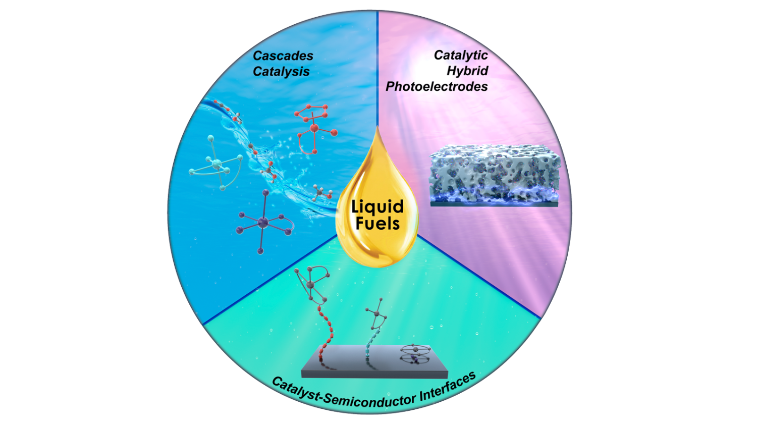 liquid fuels have applications in cascades catalysis, catalytic hybrid photoelectrodes, and catalyst-semiconductor interfaces