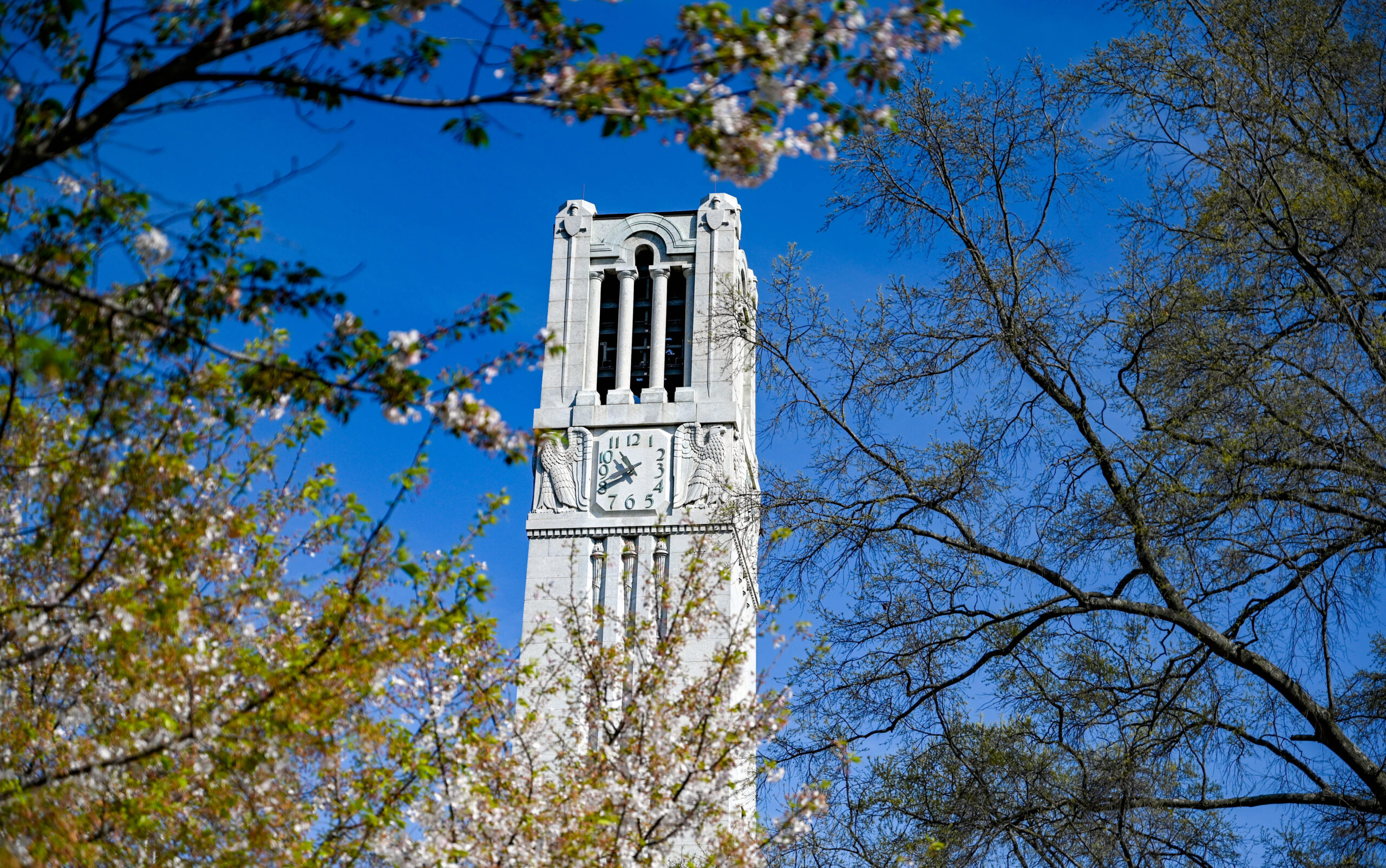The Belltower surrounded by blooming foliage on a spring day. Photo by Becky Kirkland.