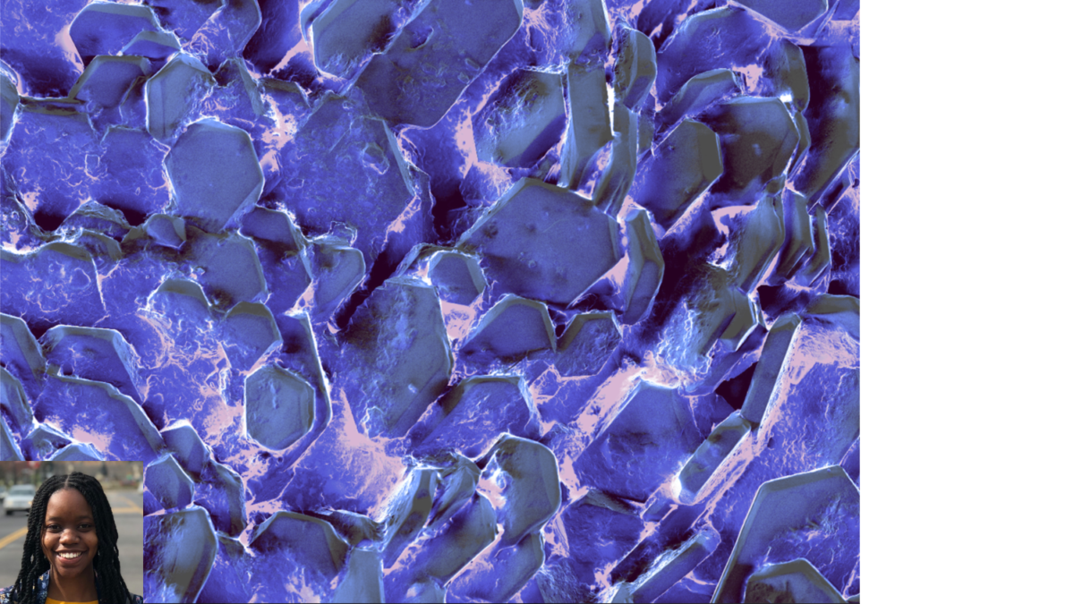 SEM image of lipid-like particles coated on stainless steel