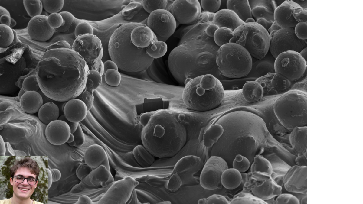 SEM image shows a FIB-milled cross-section of a 316L stainless-steel sample produced using Laser Powder Bed Fusion (LPBF) using 10–50 µm gas-atomized powder