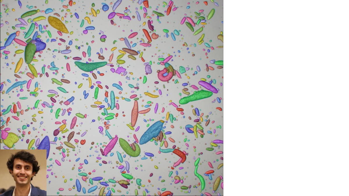 image illustrates silicone particles made during an emulsion process involving yield-stress silicone precursors. The resulting suspension was imaged with optical microscopy then processed in Meta's Segment Anything Model (SAM) for characterizing particle lengths. Each particle was overlayed with a colored mask as SAM labeled the regions of interest.